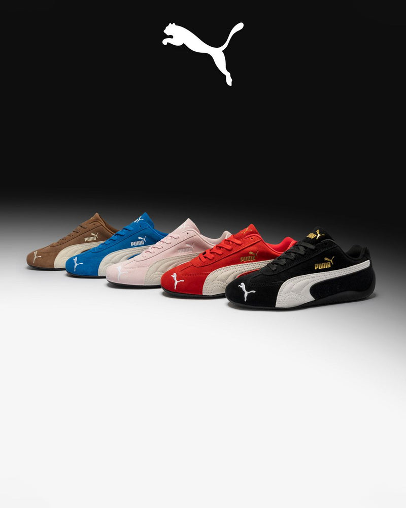 Parcourez nos derniers produits